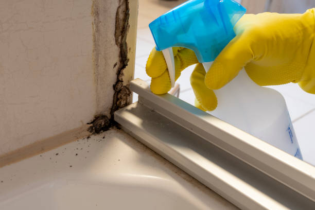 Best Mold Testing  in Coldspring, TX