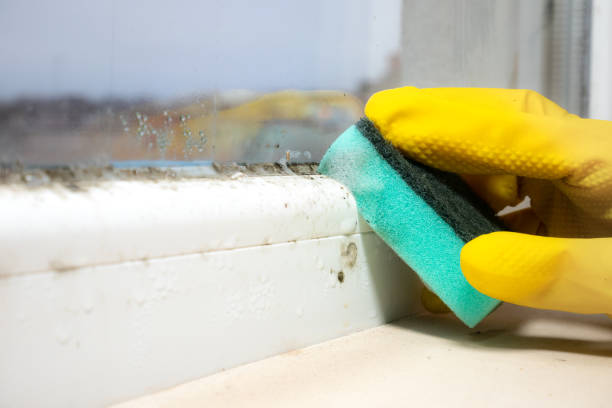 Best Toxic Mold Removal  in Coldspring, TX