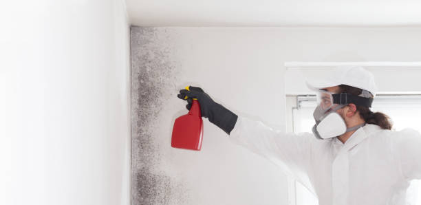 Best Home Mold Removal  in Coldspring, TX