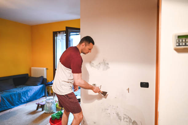 Best Office Mold Removal Services  in Coldspring, TX